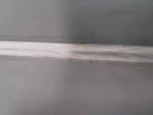 "Flash rusting" or "flash corrosion"